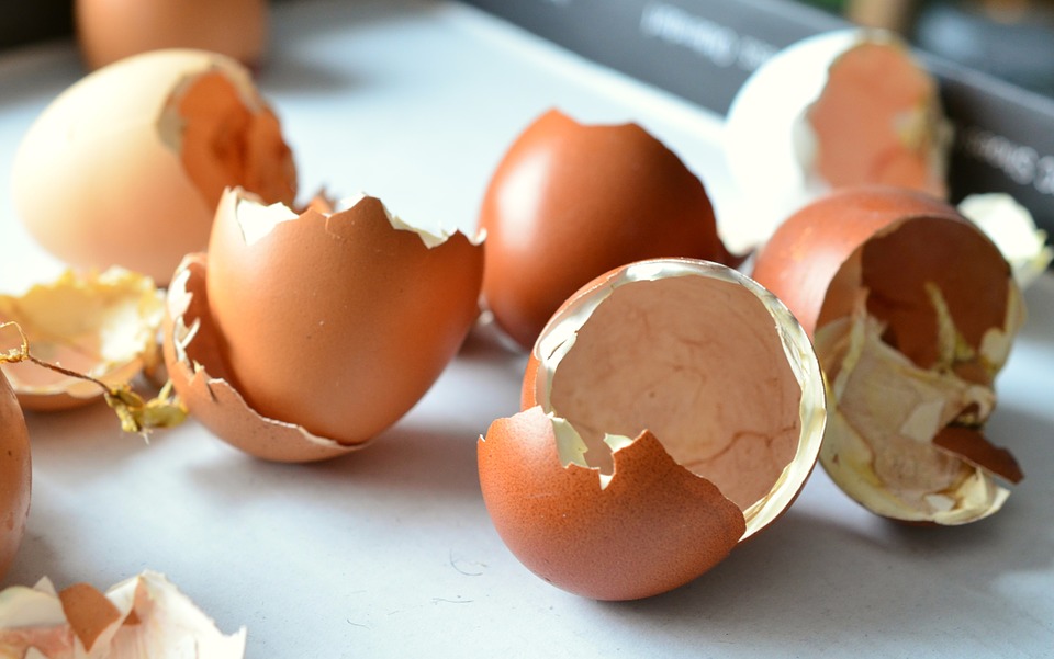 Consuming Egg shells Most Effectively The Use Of Eggshell For Health