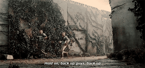 메이즈러너 기홍 뛰는 폼.gif (스압, | 인스티즈