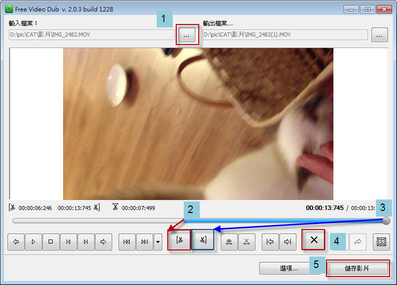 video dub video dub