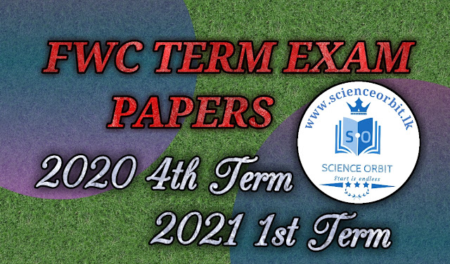 fwc 3rd term papers business studies