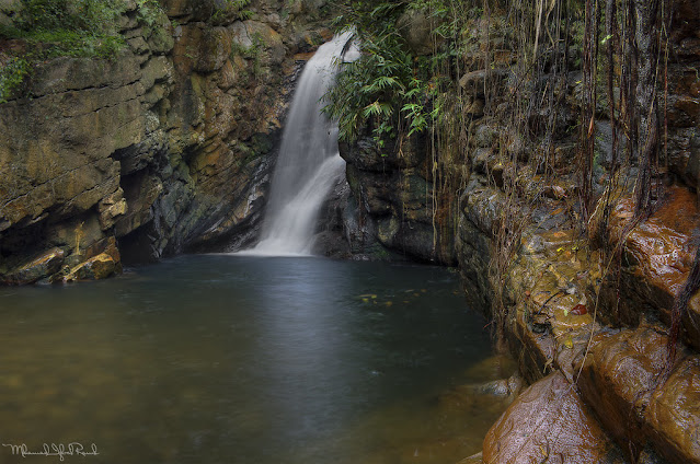 Senarai Resort & Chalet Tepi Sungai Di Selangor Yang Korang Boleh Pergi