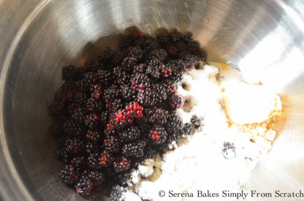 Blackberry Crisp Filling blackberries, sugar, brown sugar, flour, vanilla.