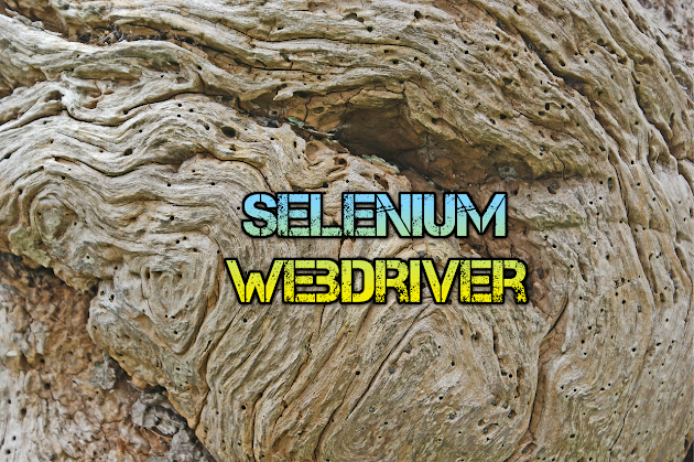 Selenium Web driver Code Snippets For Web App Testing Automation