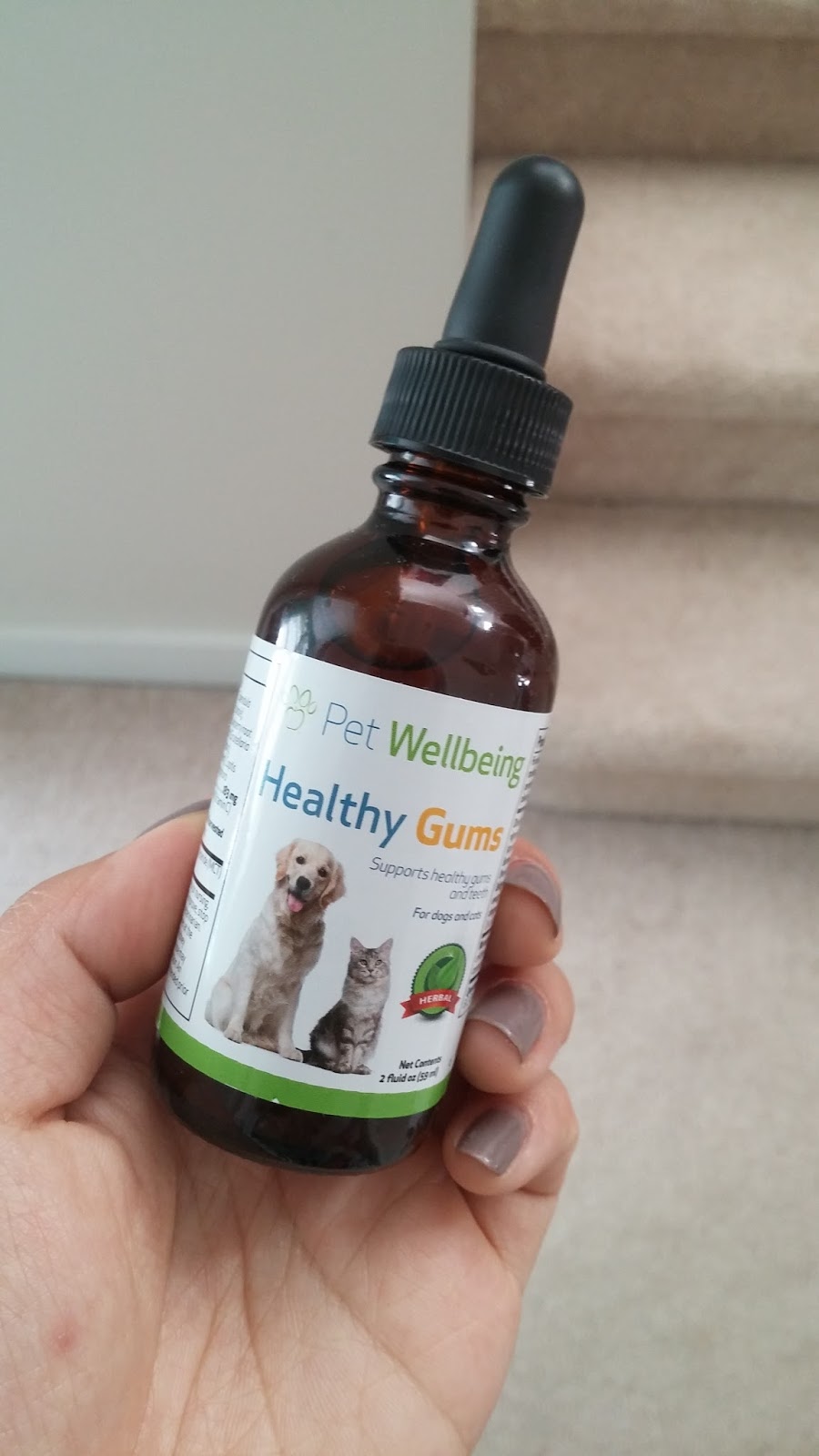 The Life Of Leo SUPPLEMENT SUNDAY HEALTHY GUMS FROM PET WELLBEING