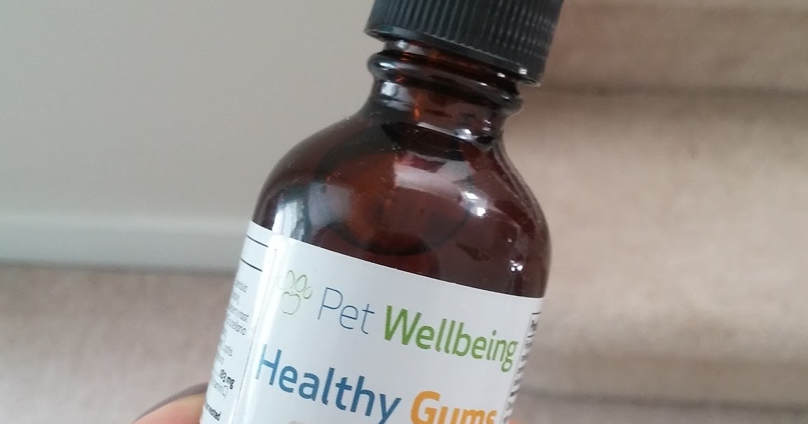 The Life Of Leo SUPPLEMENT SUNDAY HEALTHY GUMS FROM PET WELLBEING REVIEW