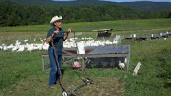 salatin tractor chicken joel tractors rabbits meat plans dolly farm rabbit coop farming turkeys permaculture hippy homesteads hutches health broilers