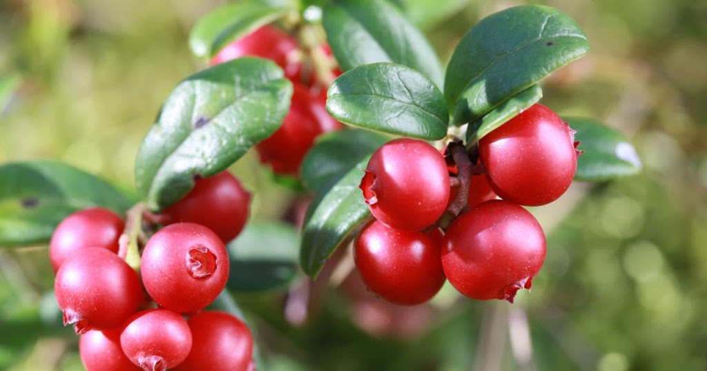 Farmers Know Best Quebec Plant Hardiness Climate Zones