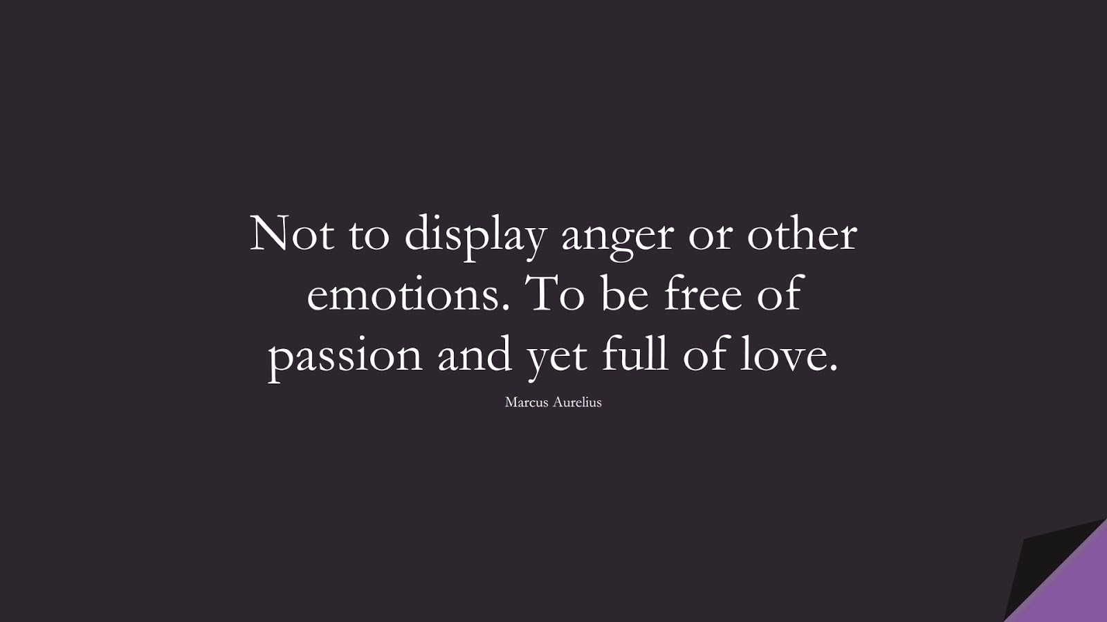 25 Stoic Quotes About Anger Ego Emotions And Disappointment Strong Love Quotes