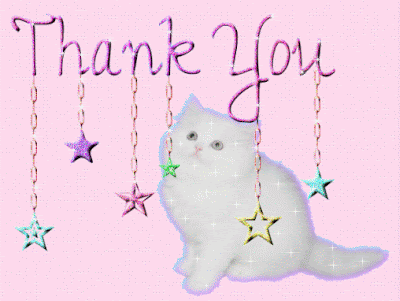 Image result for glitter cat thanks