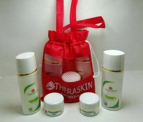 Paket Theraskin Cream Normal Bpom