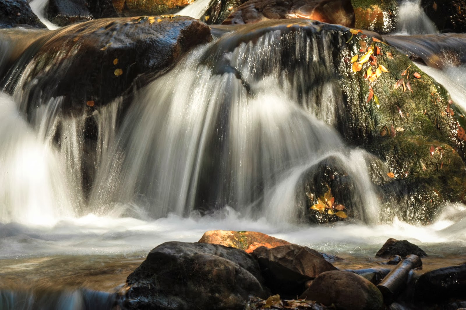 Share our Photos Big Cottonwood Falls Detail