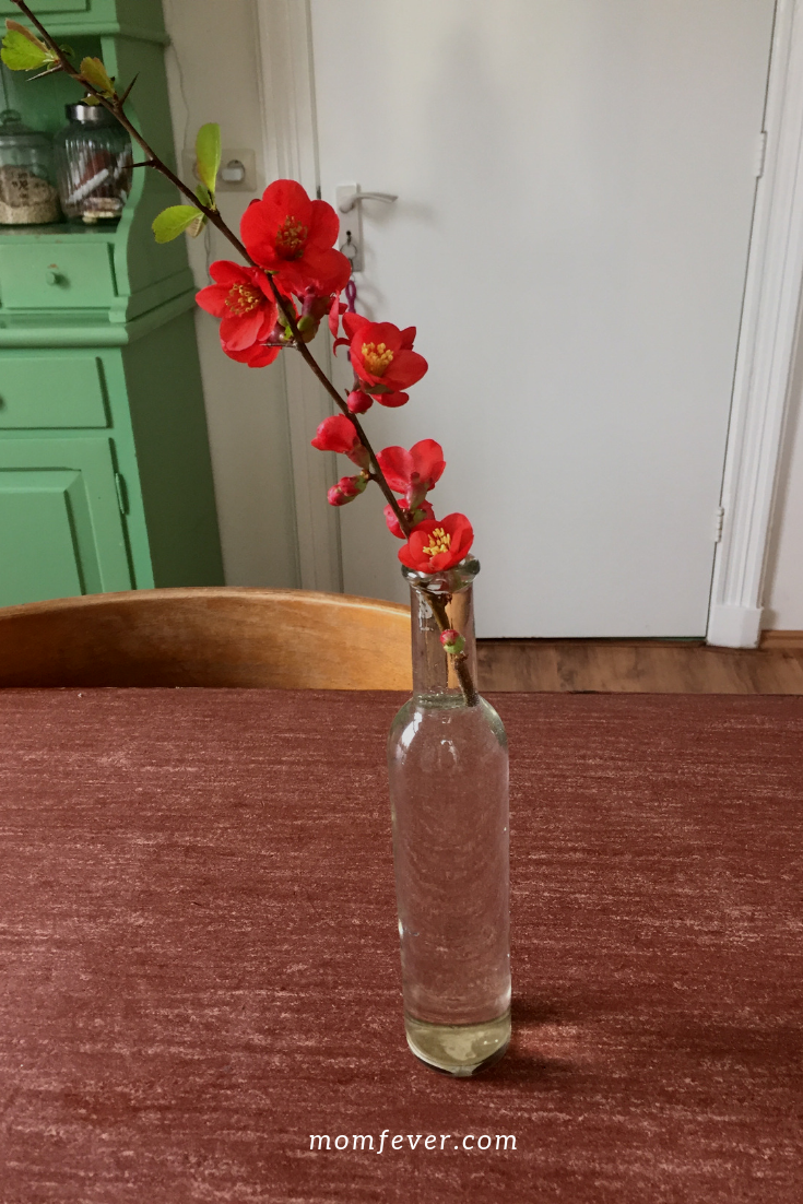 Garden flowers inside your home Garden flower inside your home