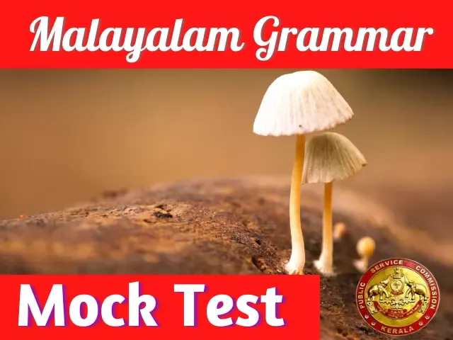 Malayalam Grammar Quiz