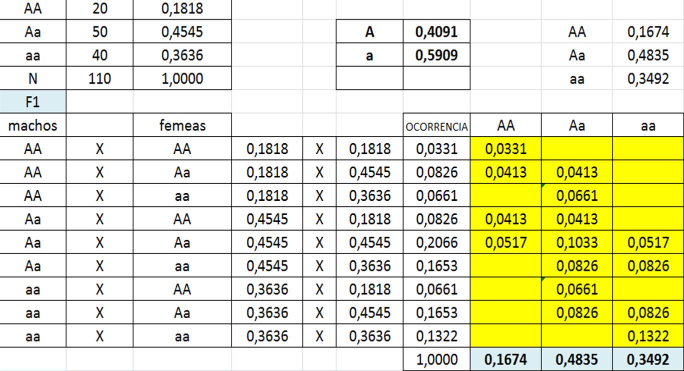 Converter Cruzado Para Real