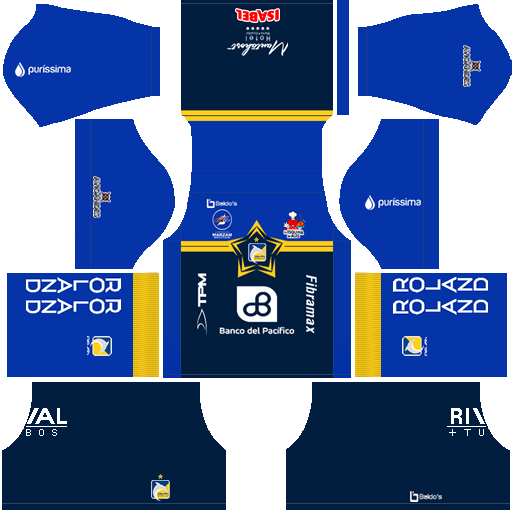 FTS 15 Kits DLS y FTS KITS 2020 Delfín SC