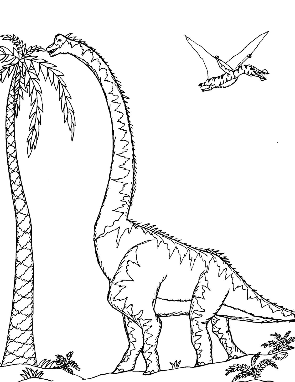 Robin S Great Coloring Pages Sauroposeidon Tallest Dinosaur