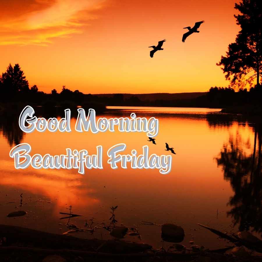 friday morning images