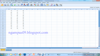 Cara Uji Autokorelasi Durbin Watson Dengan Spss Ibm Statistics Kehidupan Mahasiswa