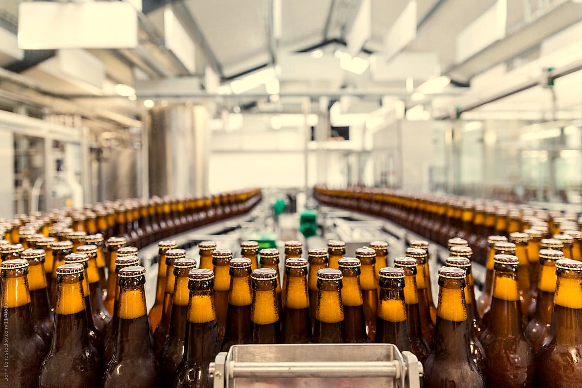 How beer is processed?