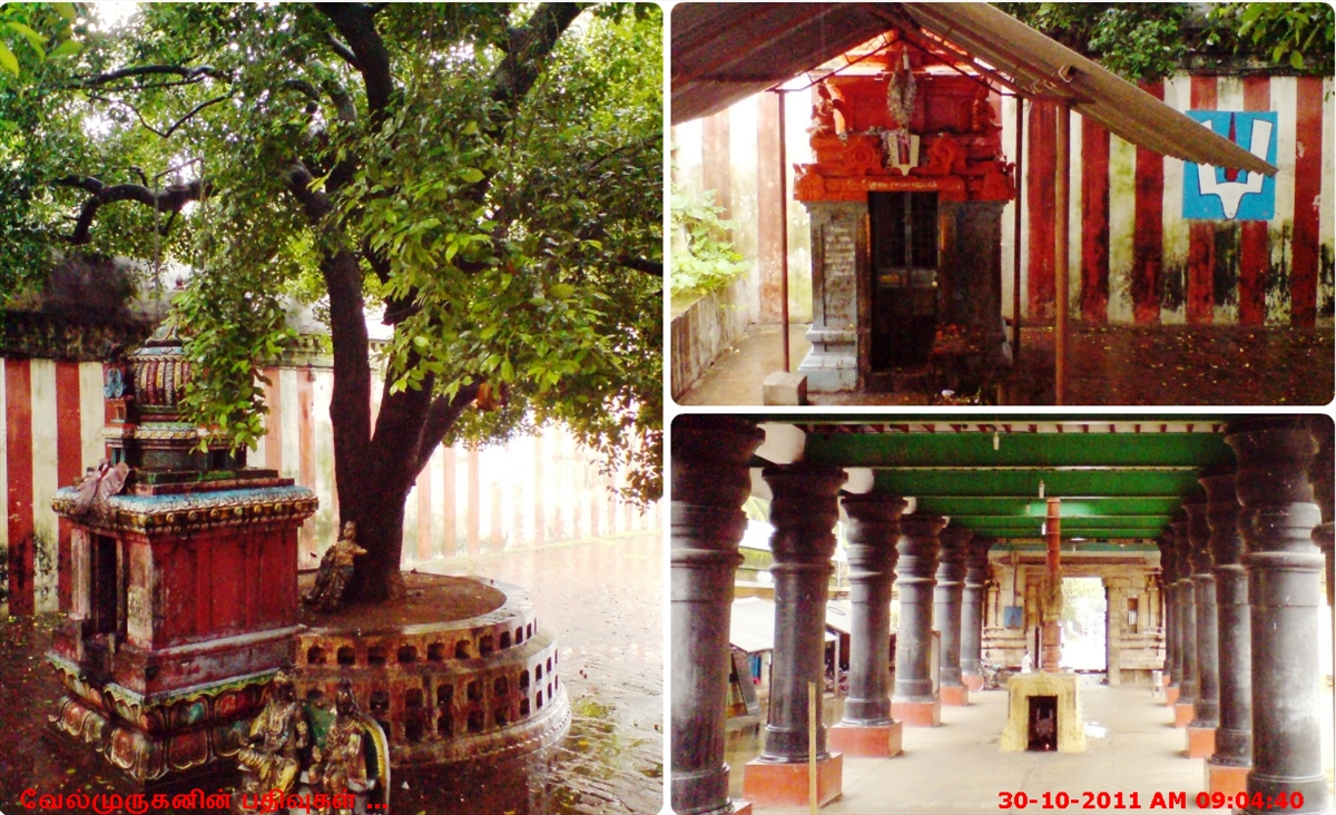 Nachiar Kovil Divya Desam