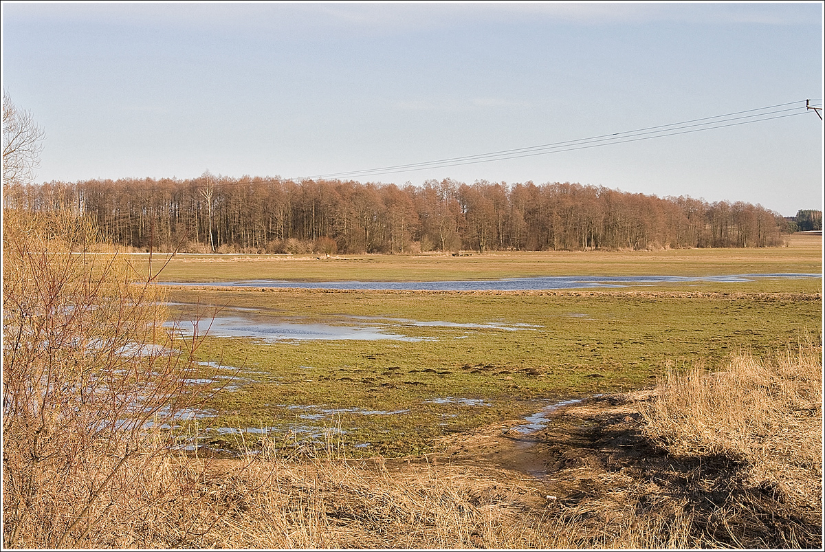 nature around me the river return to old riverbed