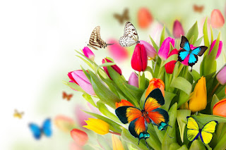 Primavera.jpg