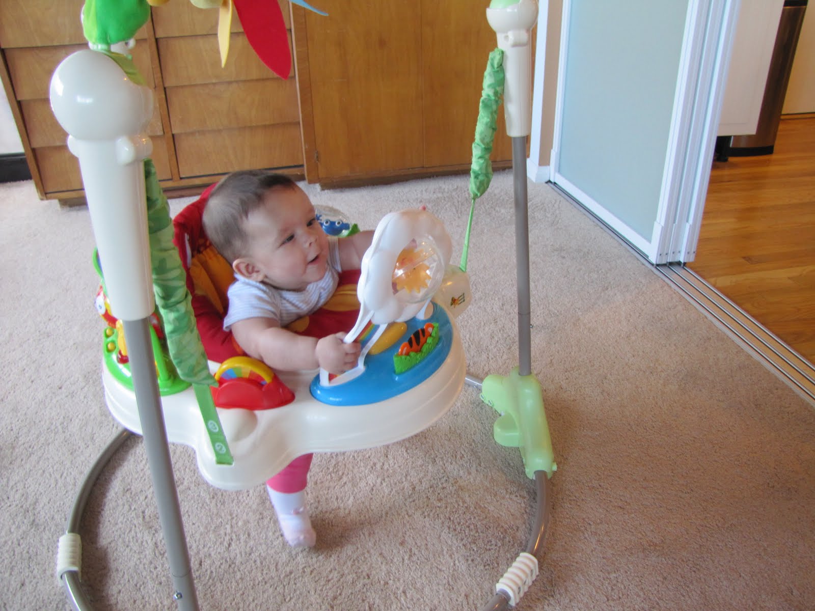 The Littlefield Family I Love My New Jumperoo!