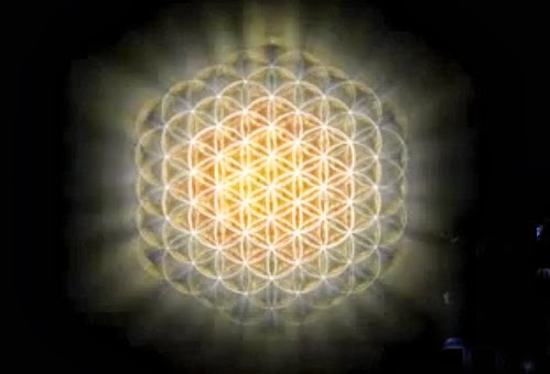 ✡The Flower of LIFE ✡