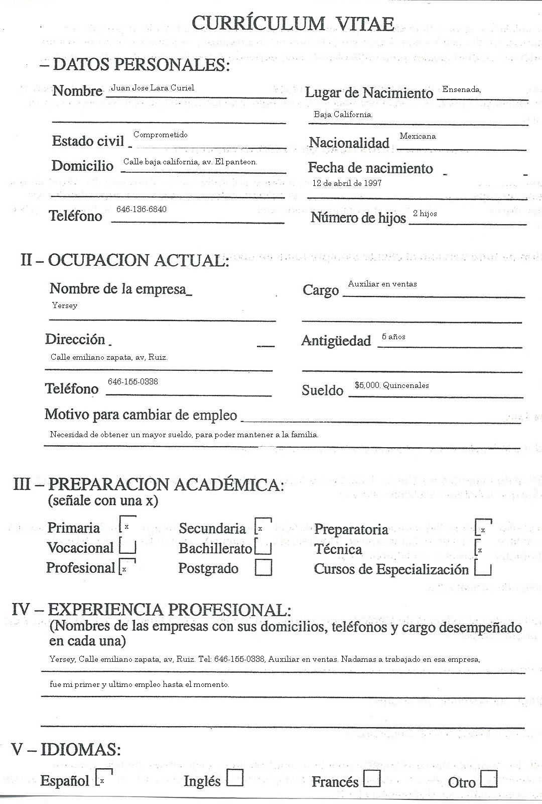 Curriculum vitae example image