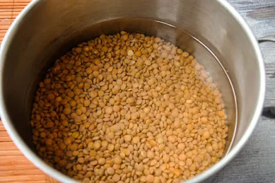 soak-the-lentil