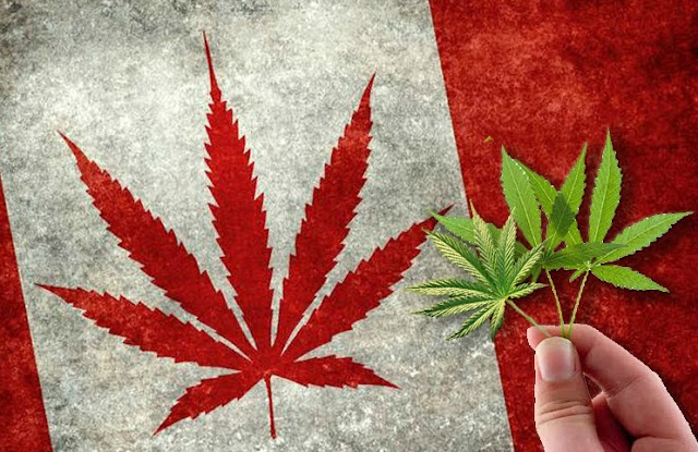 Canada Legalizes Marijuana Derivatives Today - Canada's Cannabis 2.0 Canada Legalizes Marijuana Derivatives Today - Canada's Cannabis 2.0