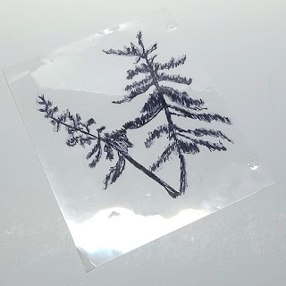 Transparency of an  evergreen