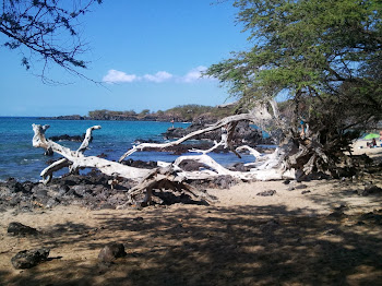 Beach 69 - Big Island 2012