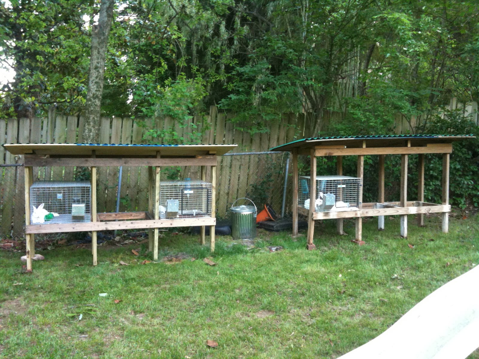 From Freeways to Farmland Breeding like rabbits