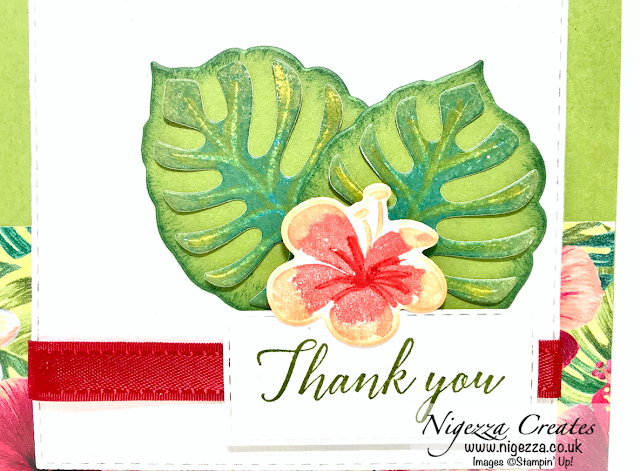 Nigezza Creates with Stampin' Up! & Tropical Chic & Tropical Oasis