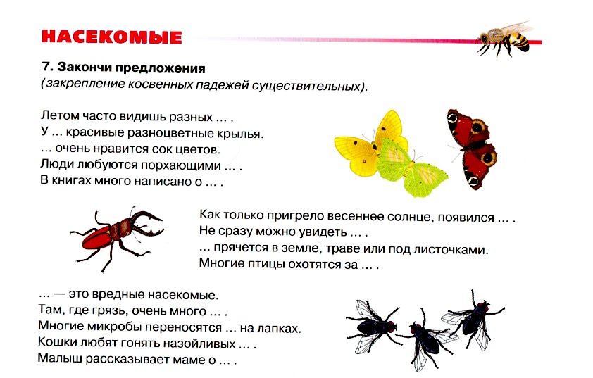 Развитие речи насекомые средняя группа