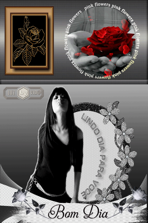 NOVO193-%2528MB%2529maryluz.gif