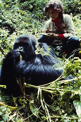 Gorillas In The Mist 1988 Sigourney Weaver Movie Image 4