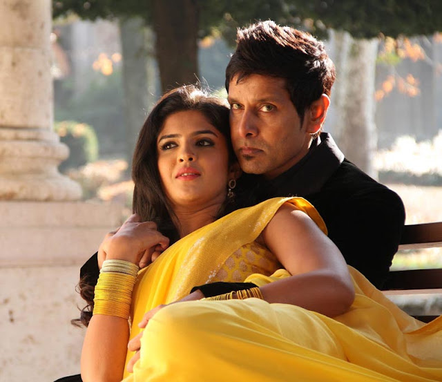 Deeksha Seth in Yellow Saree Photos