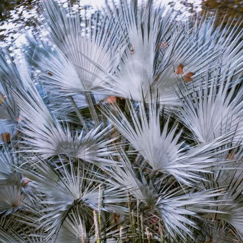 Lee Kyung Ho – 2021 – EP