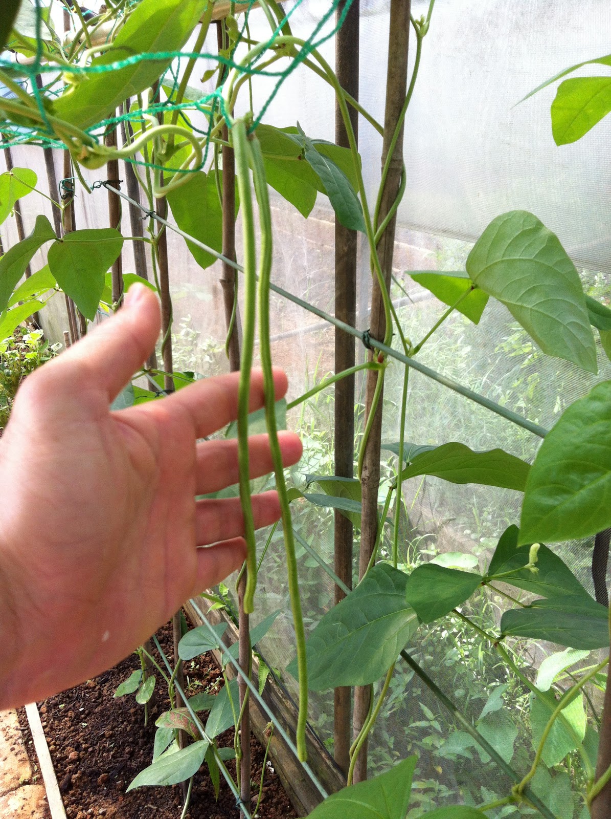 Hot blonde babes video