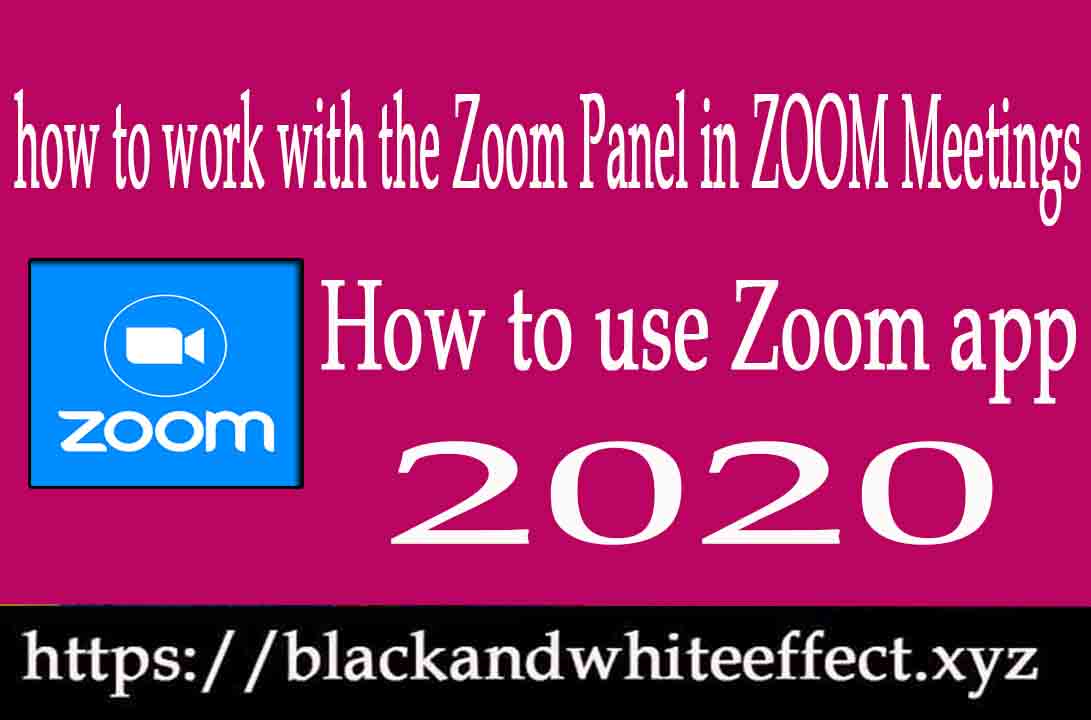 how-to-work-with-zoom-panel-in-zoom how-to-work-with-zoom-panel-in-zoom