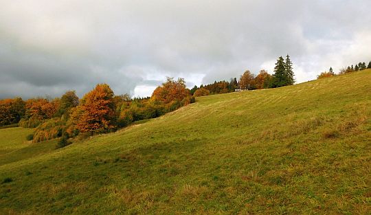 Polana nad Wierchomlą.