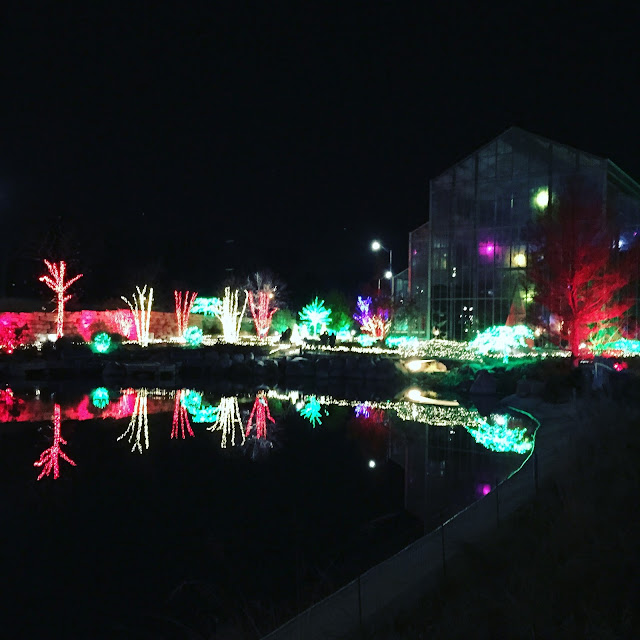 Brilliant holiday lights framing the NIcholas Conservatory