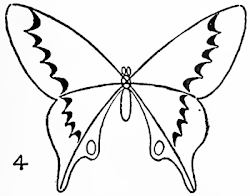 butterfly drawing easy butterflies draw step drawings methods tutorials drawinghowtodraw steps paint sketches sketch designs wings статьи источник tattoo discover