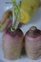 Two dark pink carrot halves, resting upright. One has leaves starting to grow from the top.