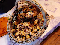múrgoles i moixernons