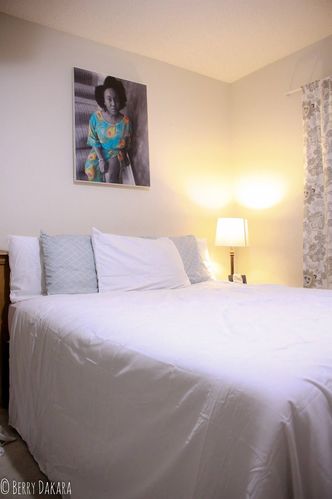 Berry Dakara PhotoWall Wall Art Review (With Discount Code)