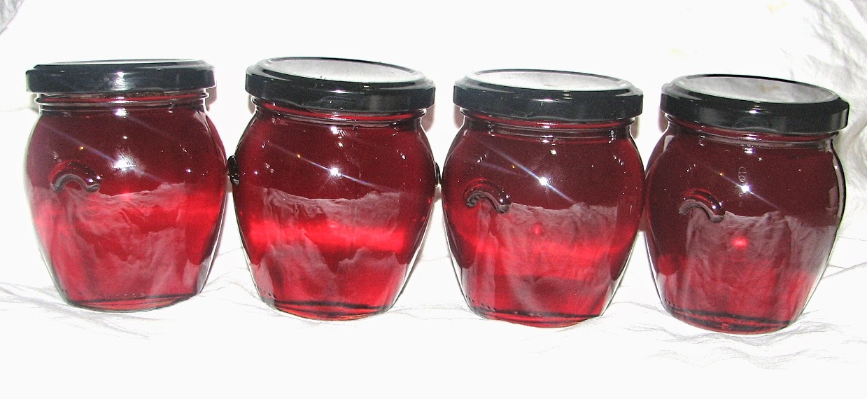 FOOD PRESERVING Jelly Serving Ideas
