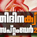 Kerala PSC | 01 Sep 2021 | Online LD Clerk Exam Preparation - Quiz-110